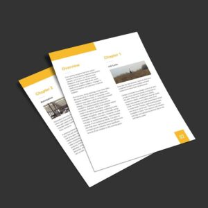 White Paper / Business Plan