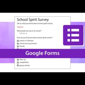 Expert Questionnaire Design & Google Forms Setup - Research Survey Service